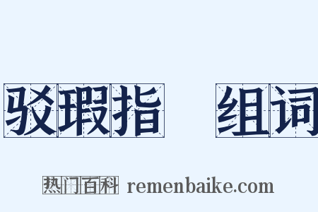 驳瑕指颣组词是什么意思的图片